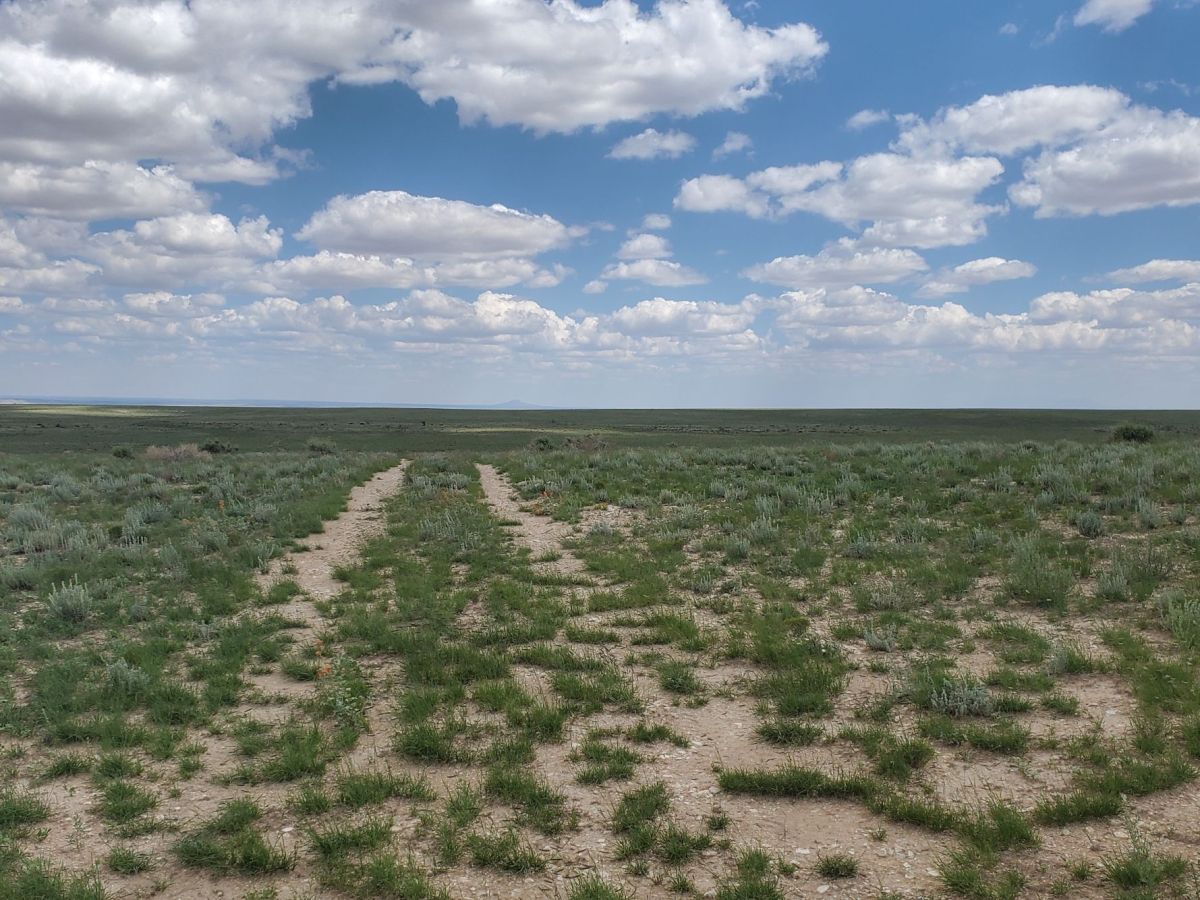 Are You Sure This is a&nbsp;Road?